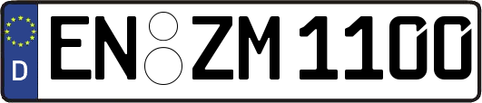 EN-ZM1100