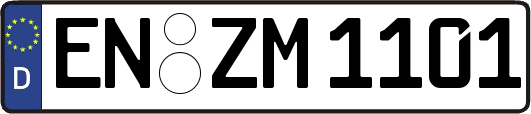 EN-ZM1101