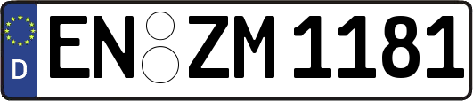 EN-ZM1181