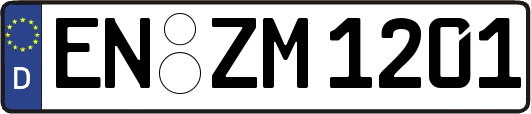 EN-ZM1201