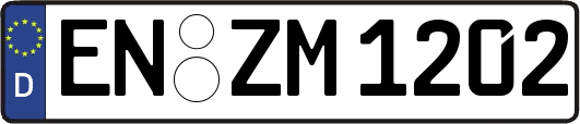 EN-ZM1202