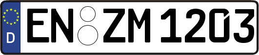 EN-ZM1203