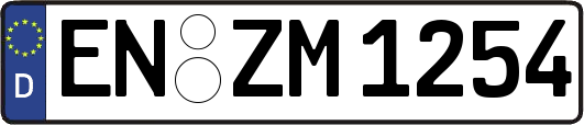 EN-ZM1254