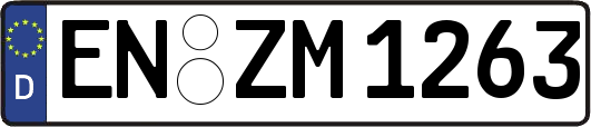 EN-ZM1263