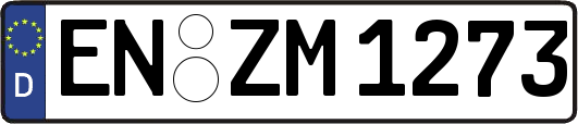 EN-ZM1273