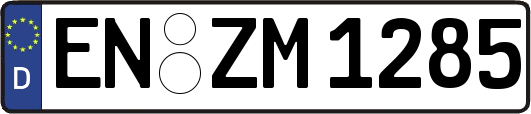 EN-ZM1285