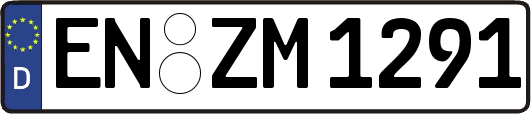 EN-ZM1291