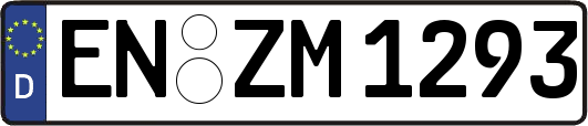 EN-ZM1293