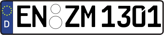 EN-ZM1301