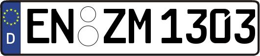 EN-ZM1303