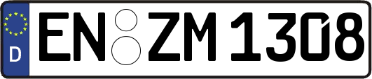 EN-ZM1308