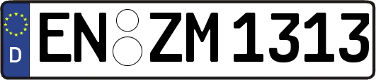 EN-ZM1313