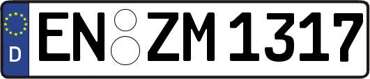 EN-ZM1317