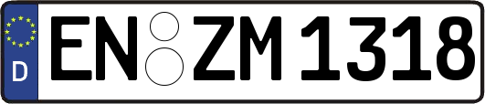 EN-ZM1318