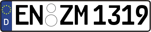 EN-ZM1319