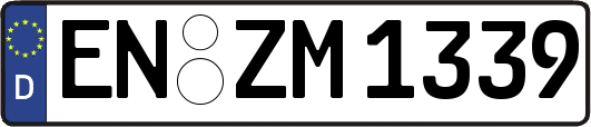 EN-ZM1339