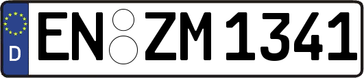 EN-ZM1341