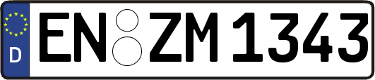 EN-ZM1343