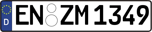 EN-ZM1349