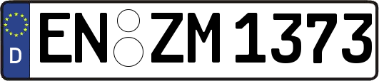 EN-ZM1373