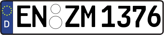 EN-ZM1376