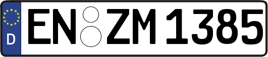 EN-ZM1385