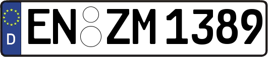 EN-ZM1389