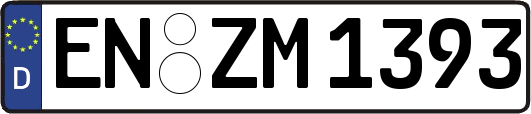 EN-ZM1393