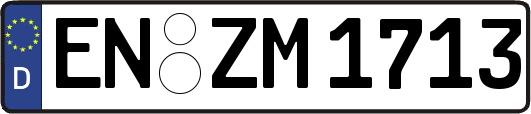 EN-ZM1713