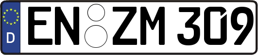 EN-ZM309