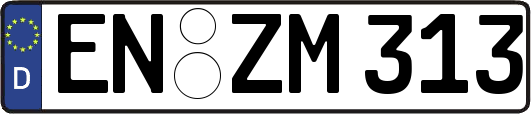 EN-ZM313