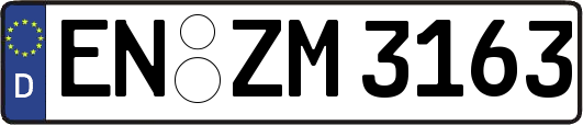 EN-ZM3163