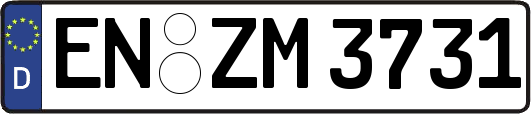 EN-ZM3731