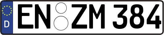 EN-ZM384