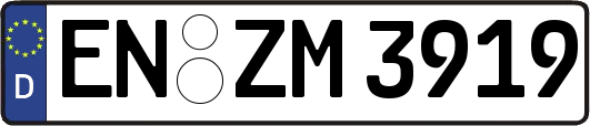 EN-ZM3919