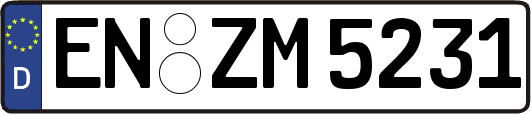 EN-ZM5231