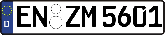 EN-ZM5601