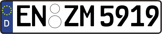 EN-ZM5919