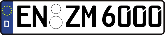 EN-ZM6000