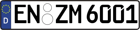 EN-ZM6001