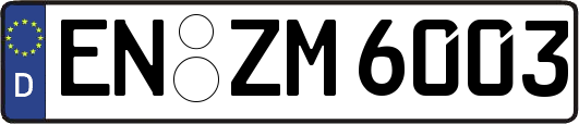 EN-ZM6003