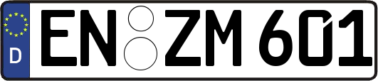 EN-ZM601