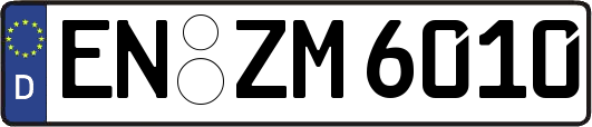 EN-ZM6010