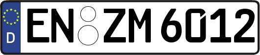 EN-ZM6012