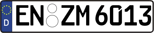 EN-ZM6013