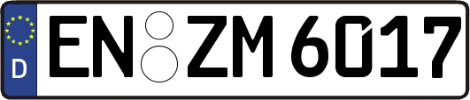 EN-ZM6017