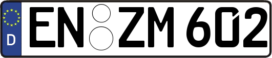 EN-ZM602