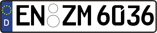 EN-ZM6036