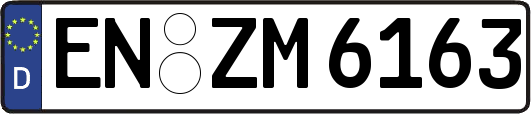 EN-ZM6163