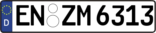 EN-ZM6313